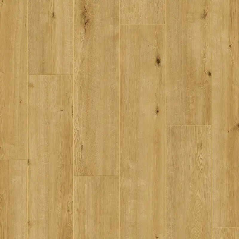 Magna Plus WR Dab Lino 06449