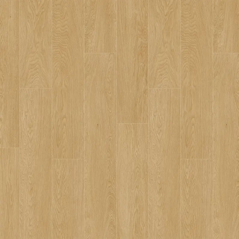 Magna Plus WR Dab Tomme