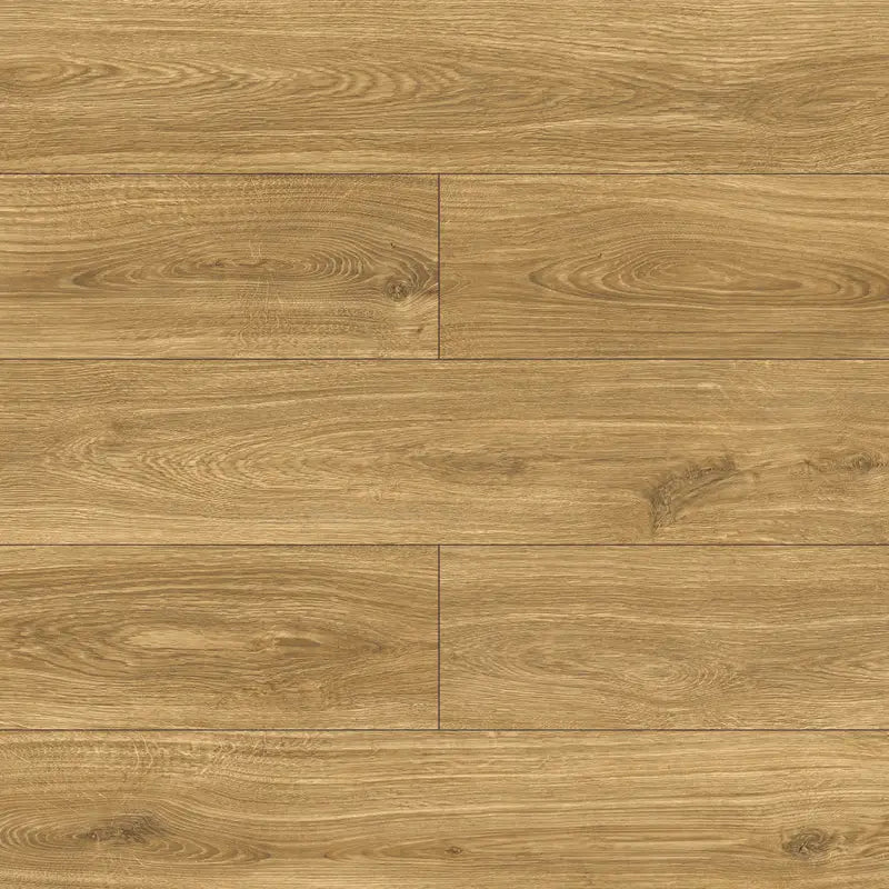 Querra Balance Plus WR Dab Bero