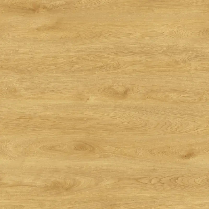 Querra Balance Plus WR Dab Elya