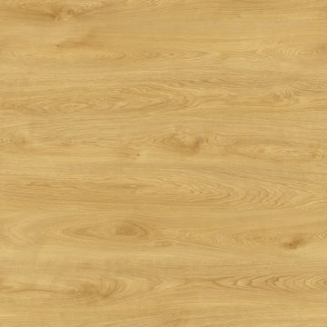 Querra Balance Plus WR Dab Elya