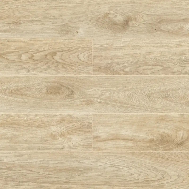 Querra Balance Plus WR Dab Latte