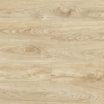 Querra Balance Plus WR Dab Latte