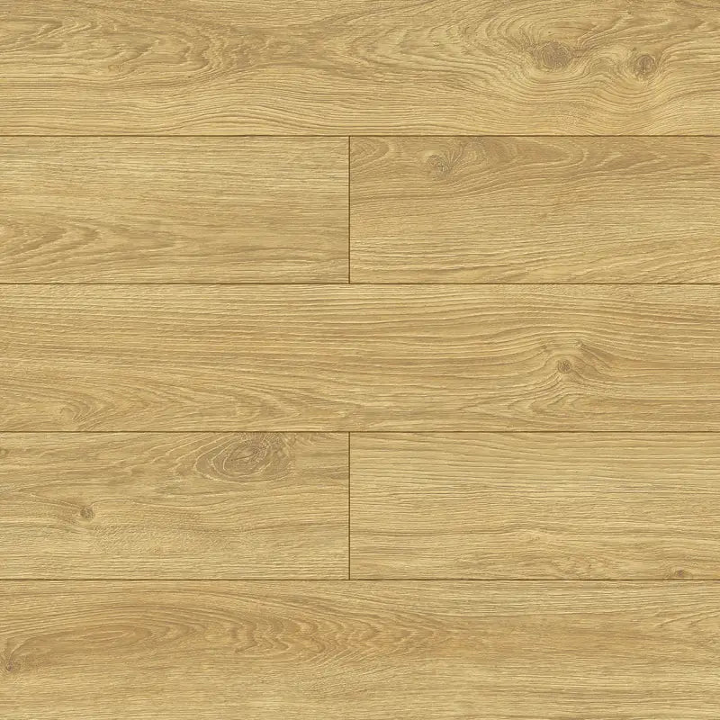 Querra Balance Plus WR Dab Marro 40054