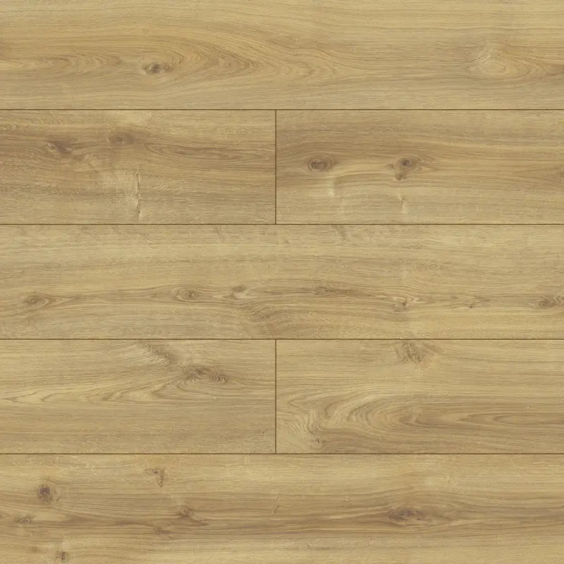 Querra Balance WR Dab Bosco 40164