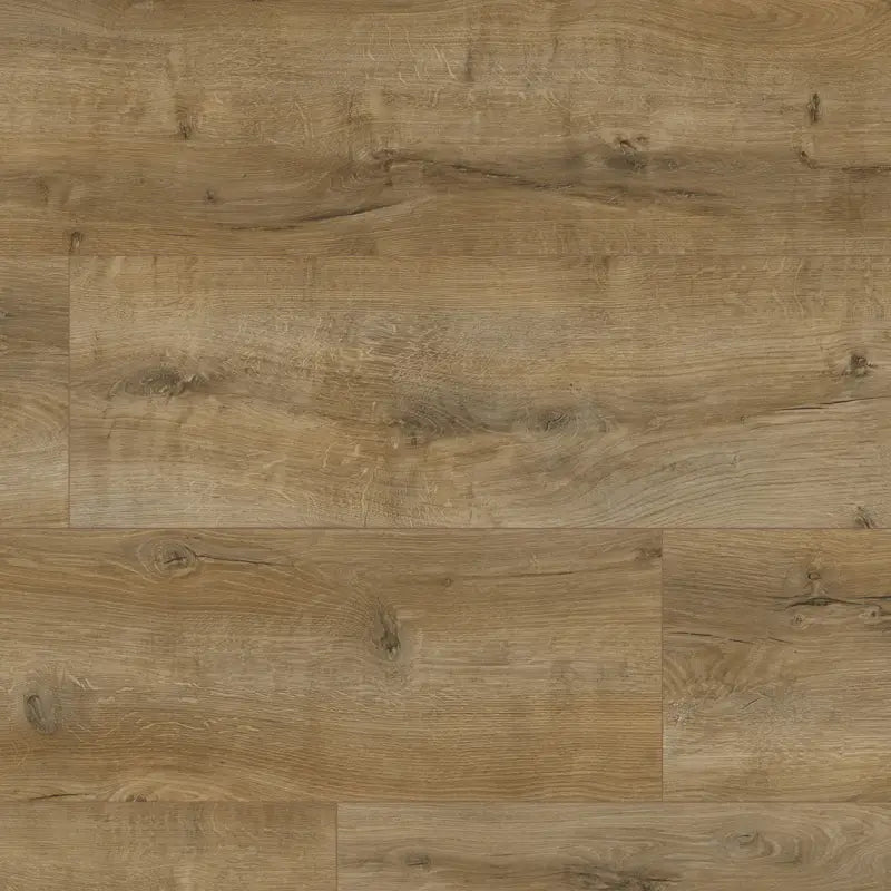 Querra Harmony WR Dab Arro