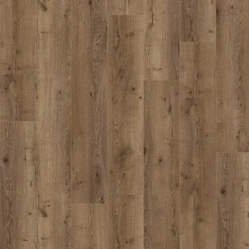 Querra Magna WR Dab Albero 04102