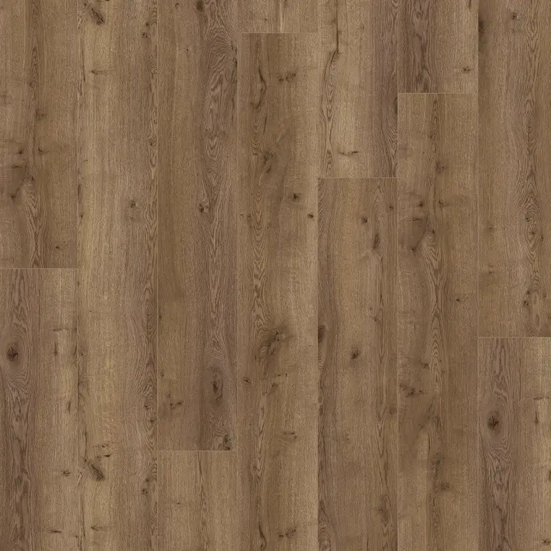 Querra Magna WR Dab Albero 04102