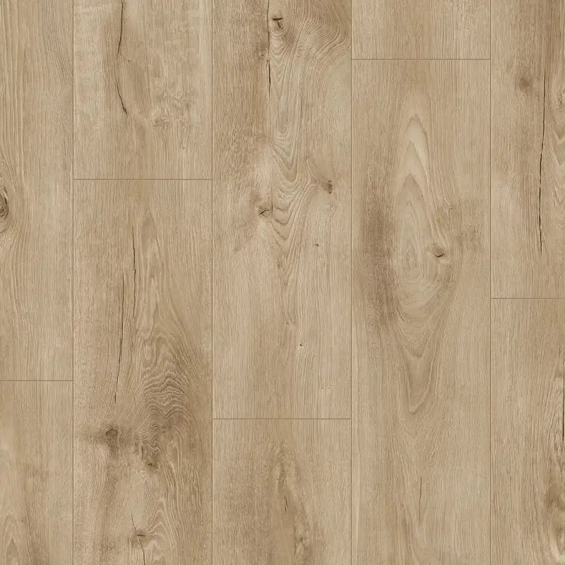 Querra Magna WR Dab Sargas 05477