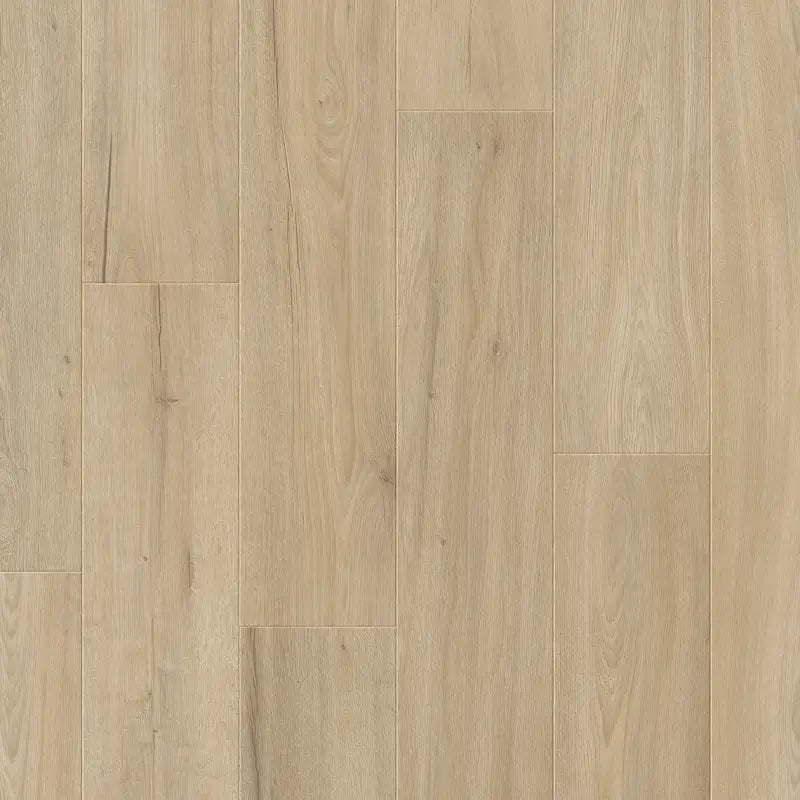 Querra Supra WR Dab Nikken