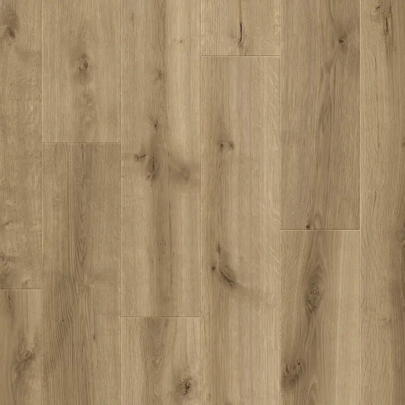 Querra Supra WR Dab Onda