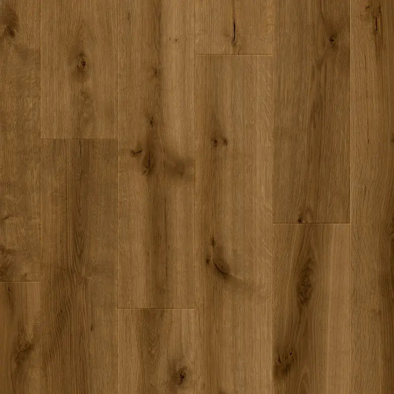 Querra Supra WR Dab Roden