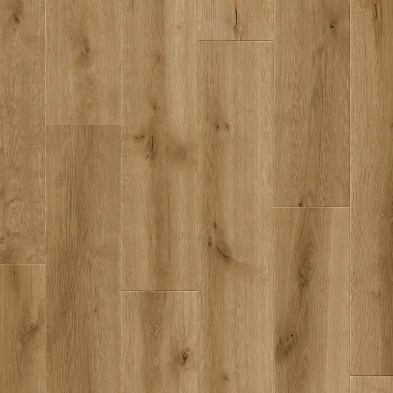 Querra Supra WR Dab Vitsuni