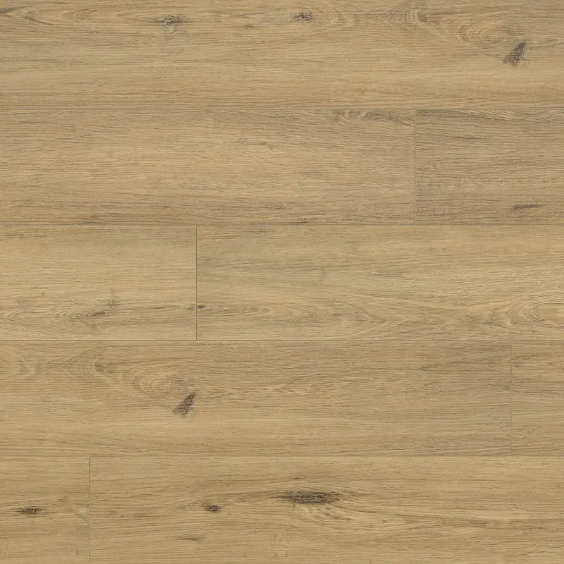 Rigio Oak Bore